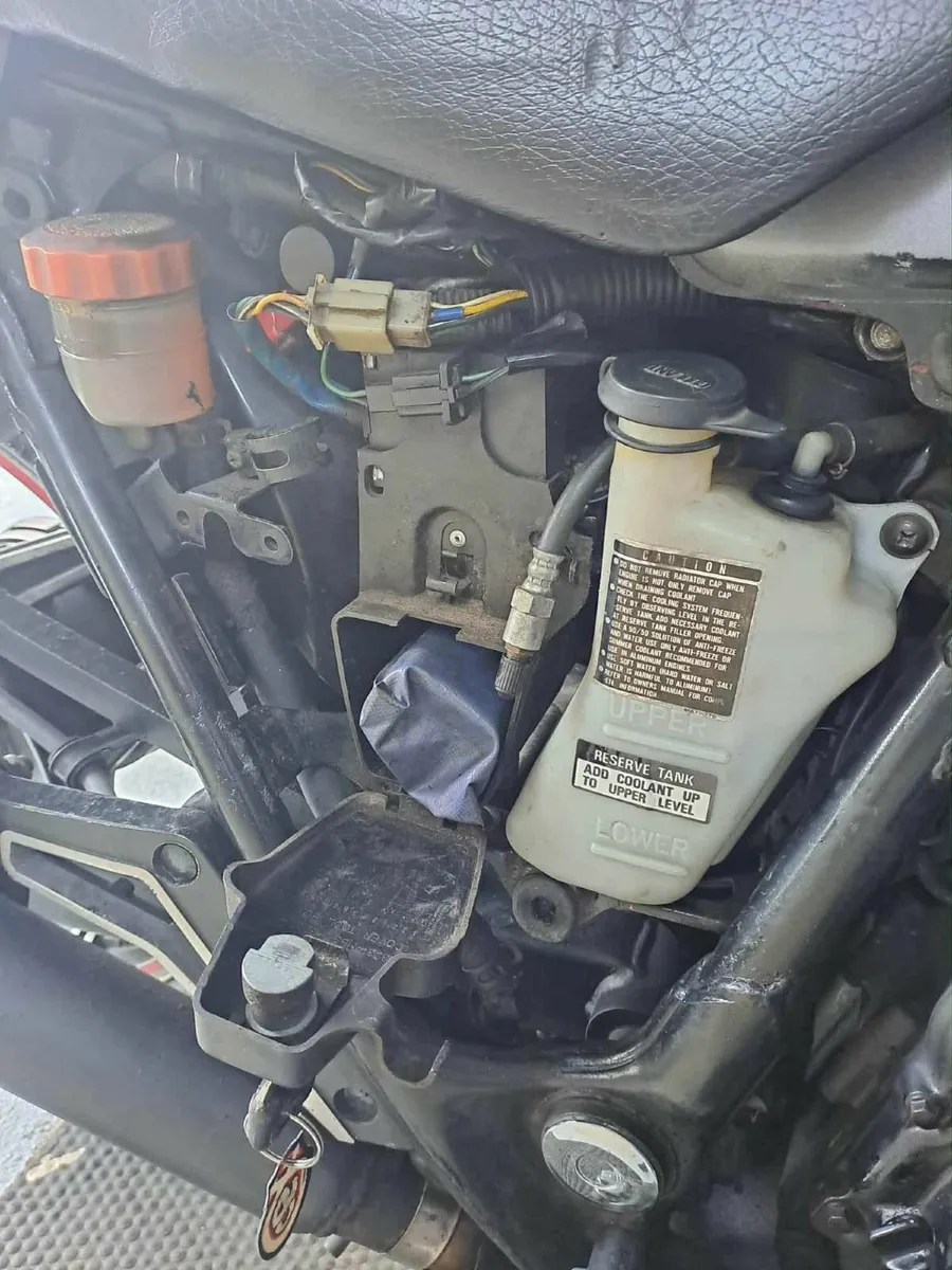 Honda V65 1100 - Image 4