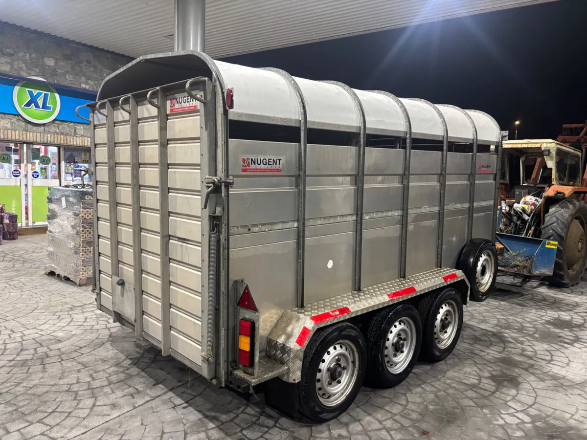 nugent 12ft tri axle livestock trailer - Image 3