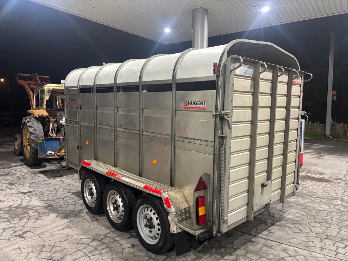 nugent 12ft tri axle livestock trailer - Image 2