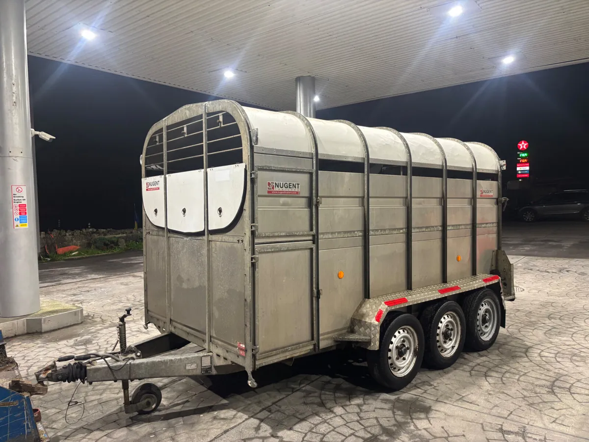 nugent 12ft tri axle livestock trailer - Image 4