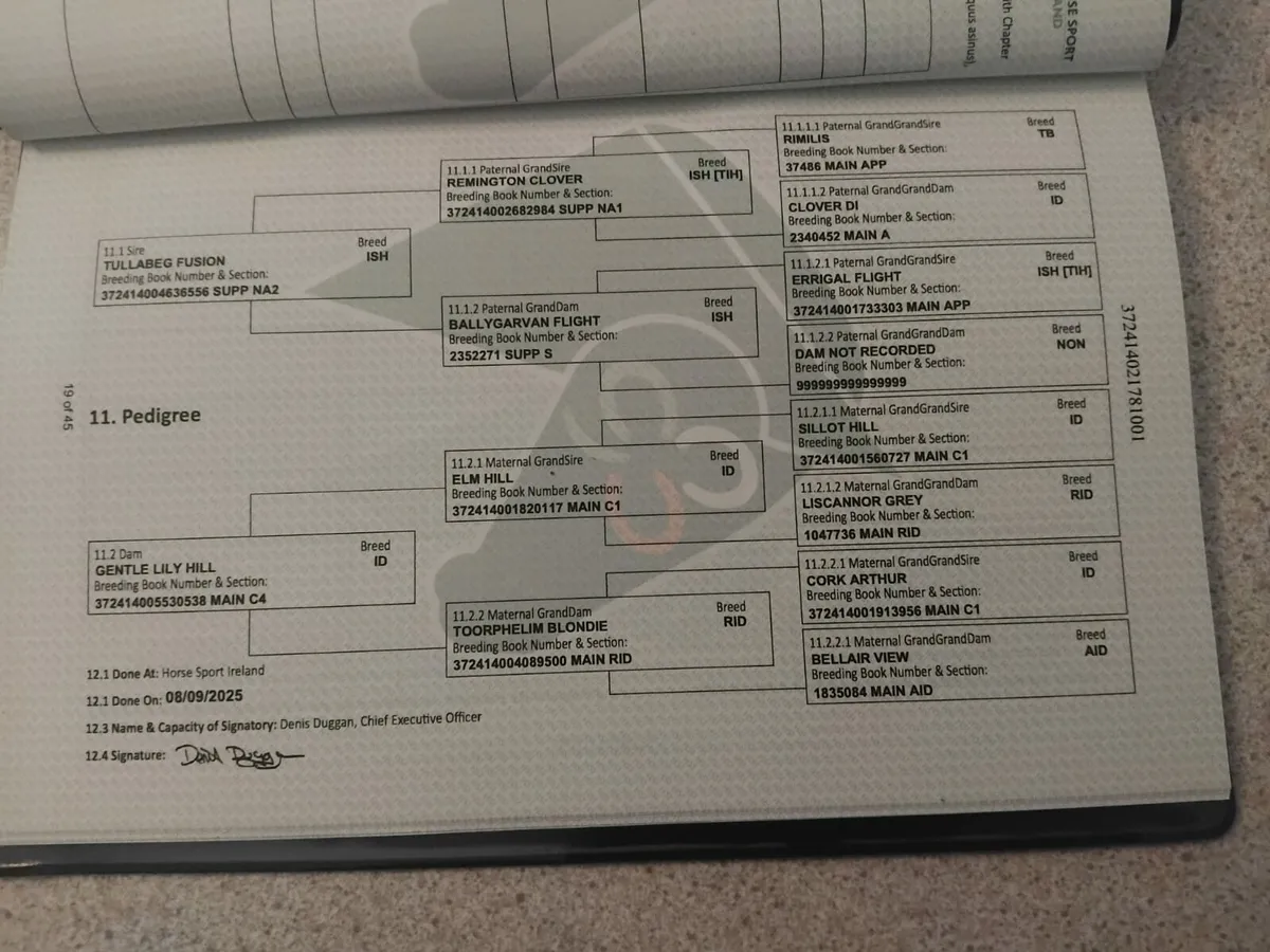 FRIDAY FUSION - Image 4