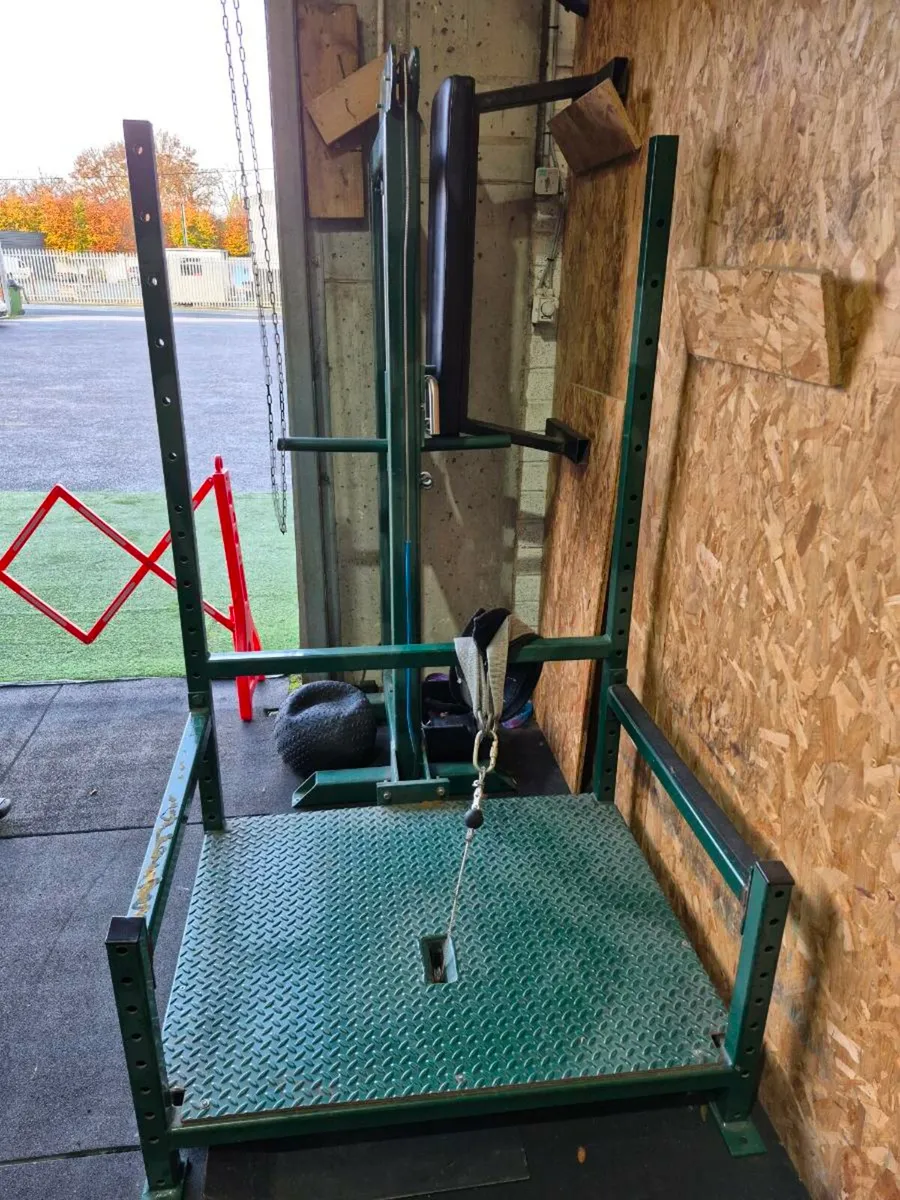 Belt squat - Image 1