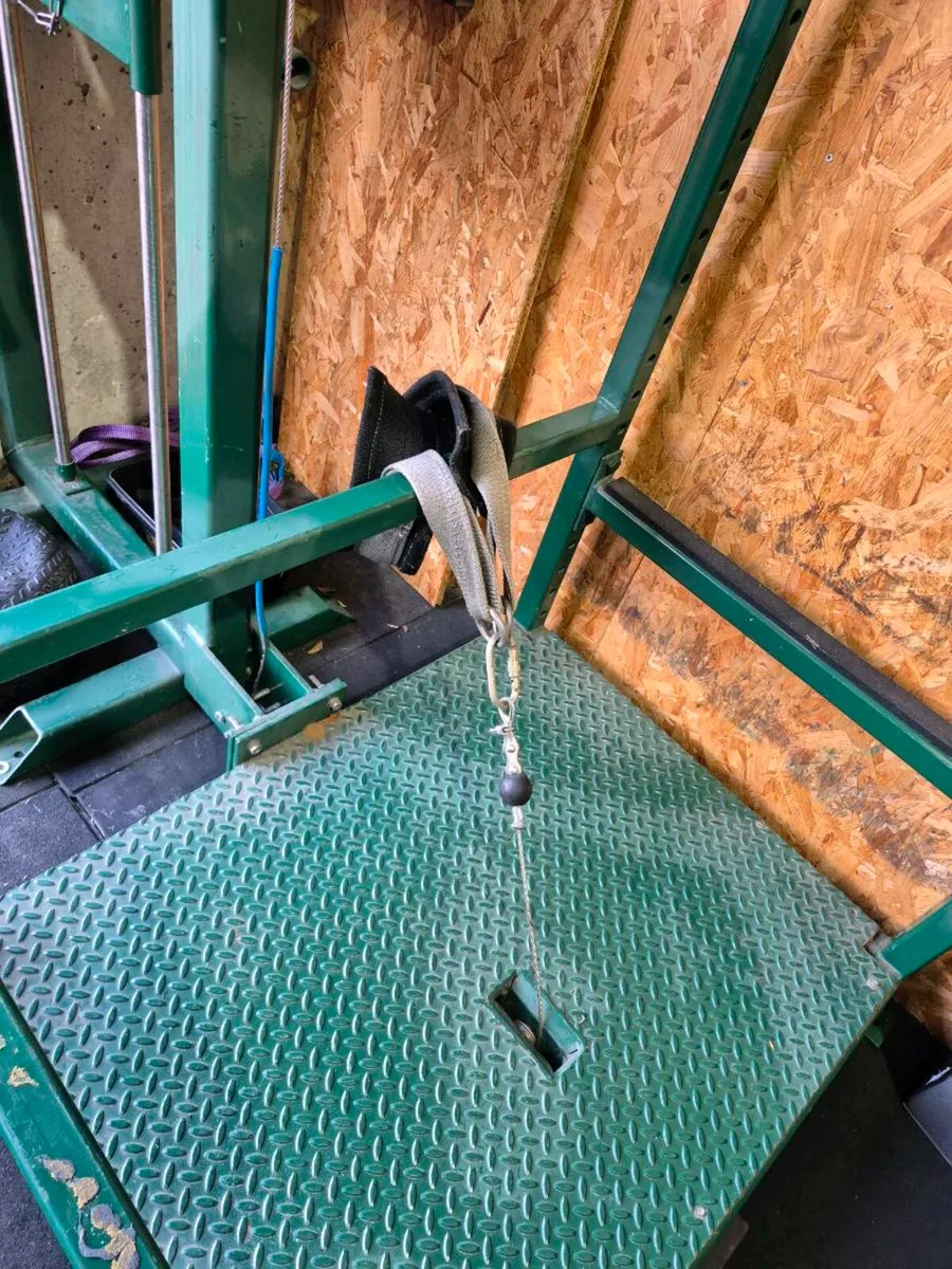 Belt squat - Image 3