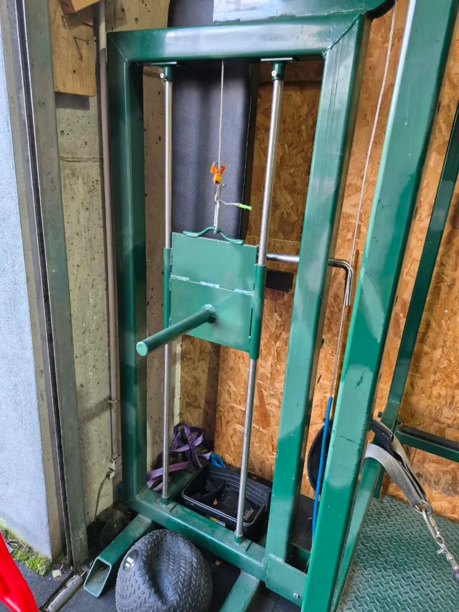 Belt squat - Image 4