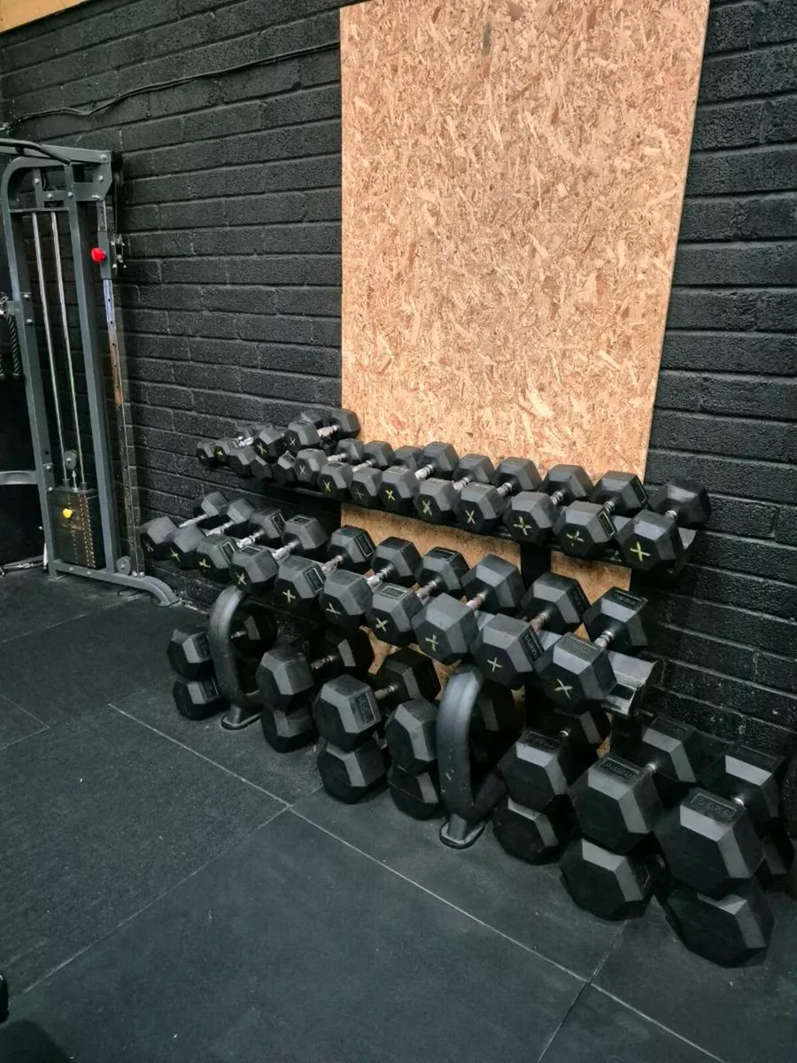Dumbbell rack - Image 1
