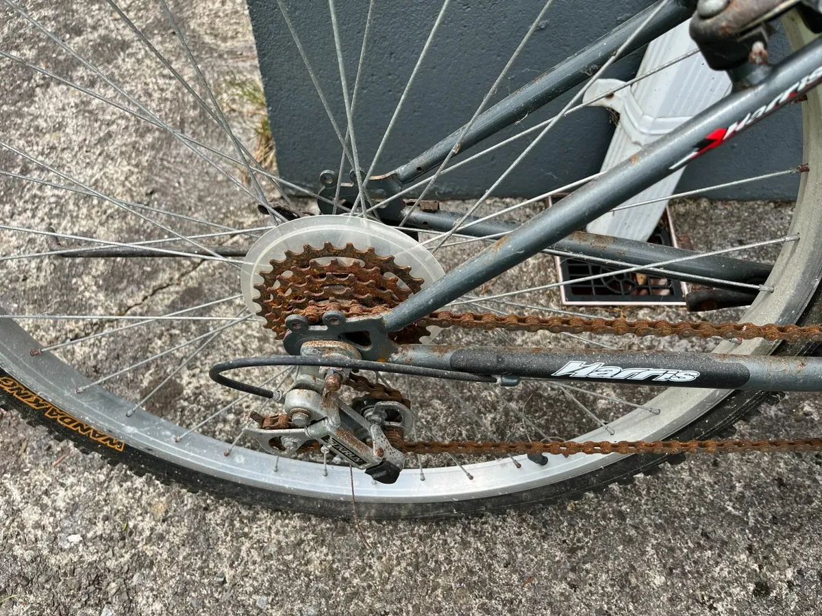 Bike in need of tlc - Image 3