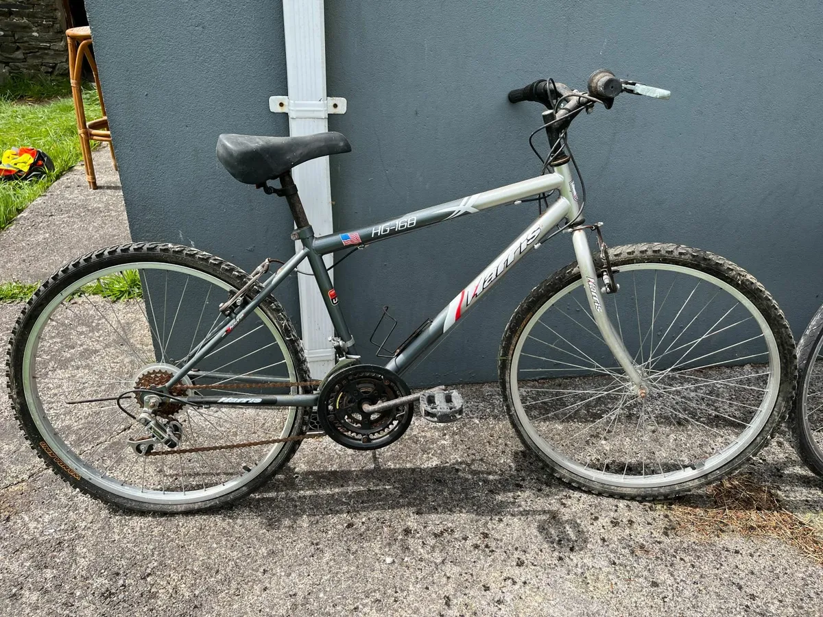 Bike in need of tlc - Image 1