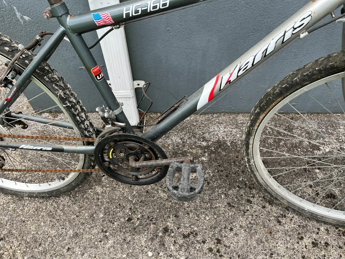 Bike in need of tlc - Image 4