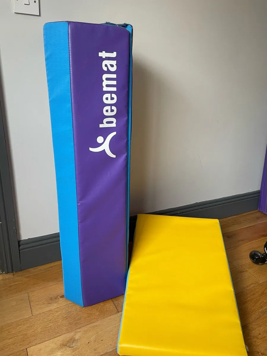 Gymnastics equipment and leotards - Image 2