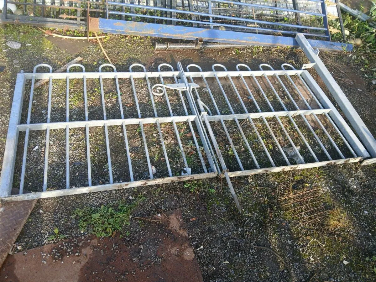 Garden gates - Image 1