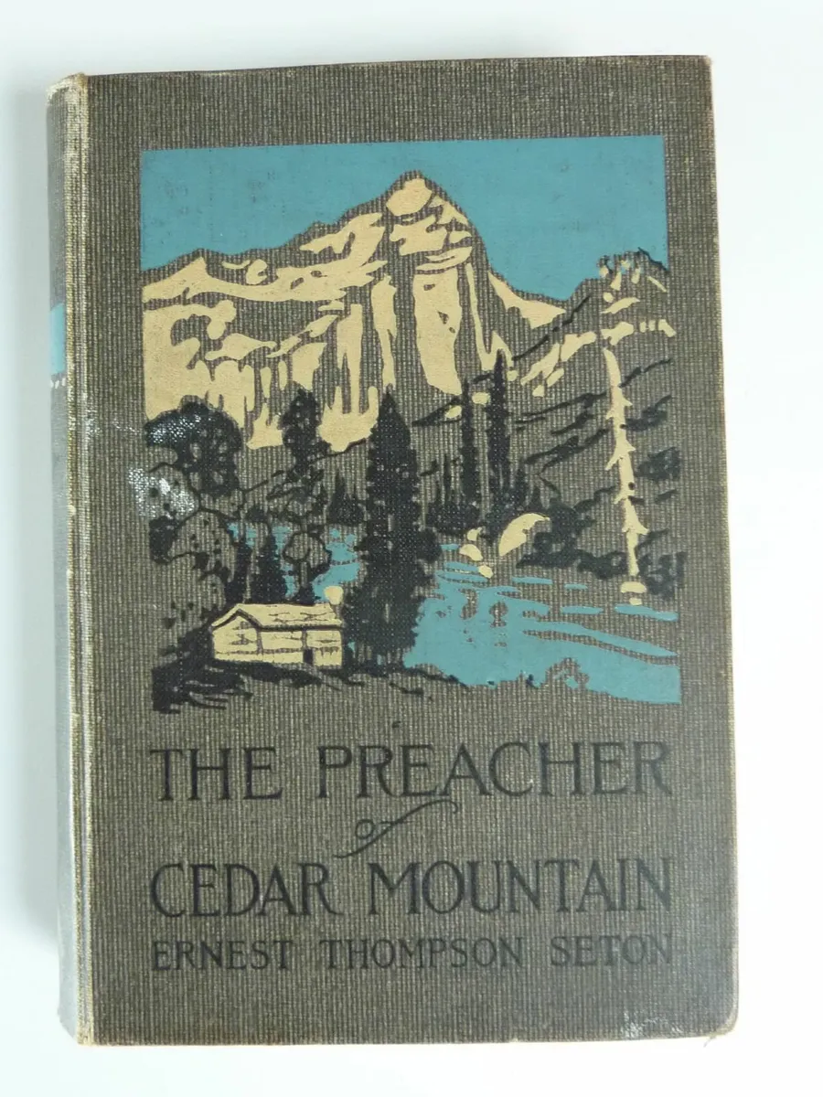 The preacher of cedar mountain - Image 1