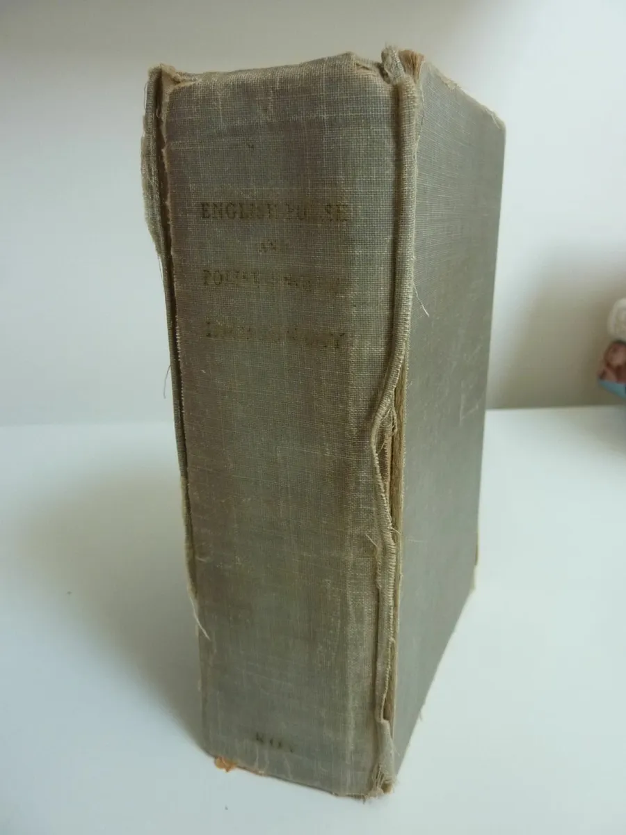 English-Polish and Polish-English dictionary - Image 1