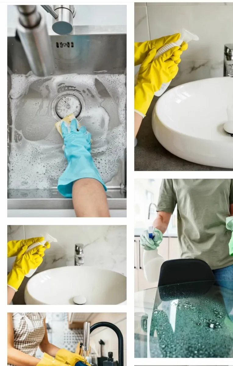 House Cleaner - Image 1