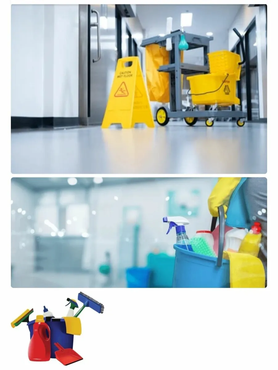 House Cleaner - Image 3