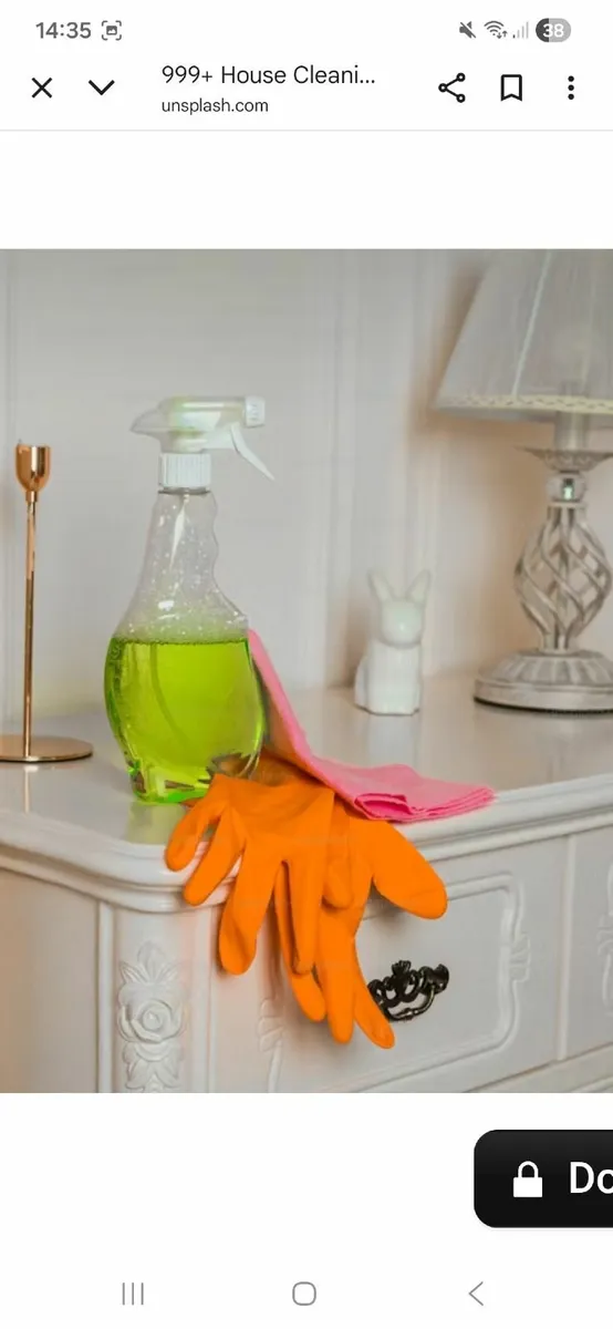 House Cleaner - Image 4