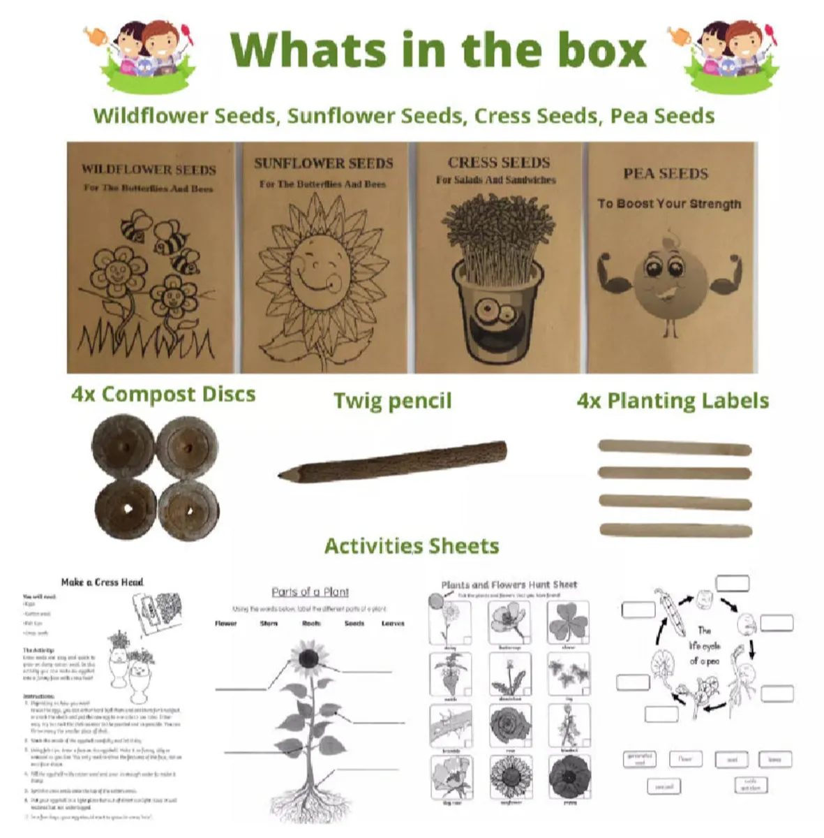 Grow Your Own Seeds Kit for Kids - Image 2