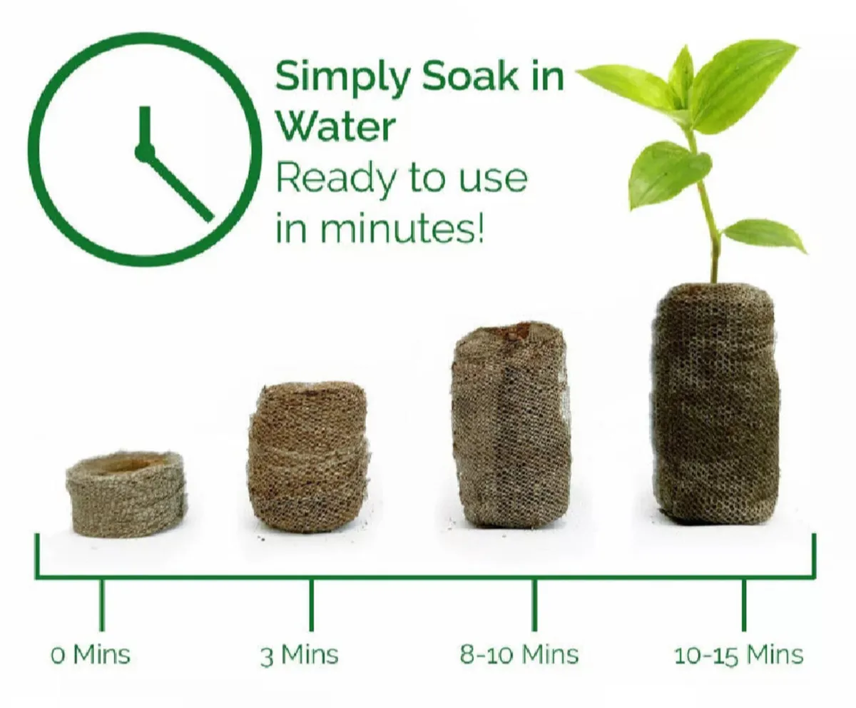 Grow Your Own Seeds Kit for Kids - Image 4