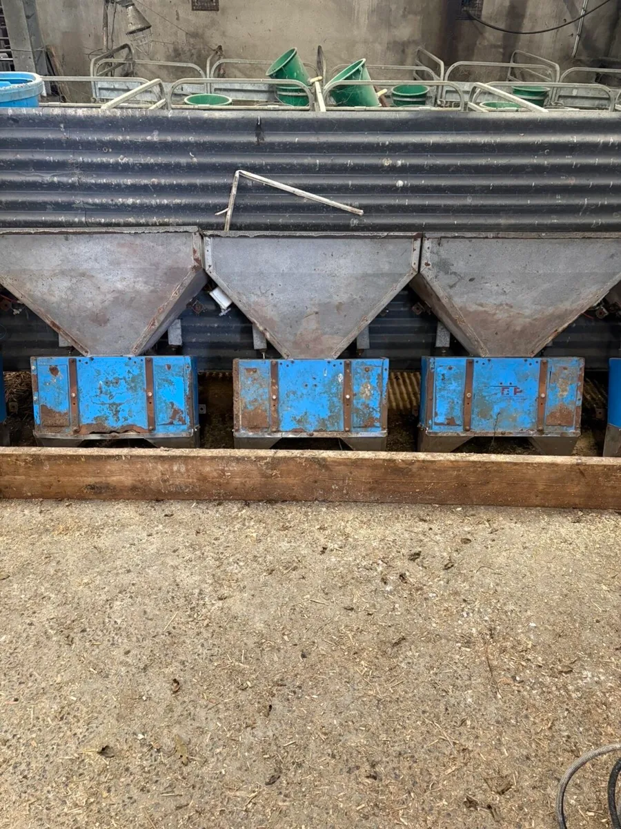 Cashman feeders - Image 1