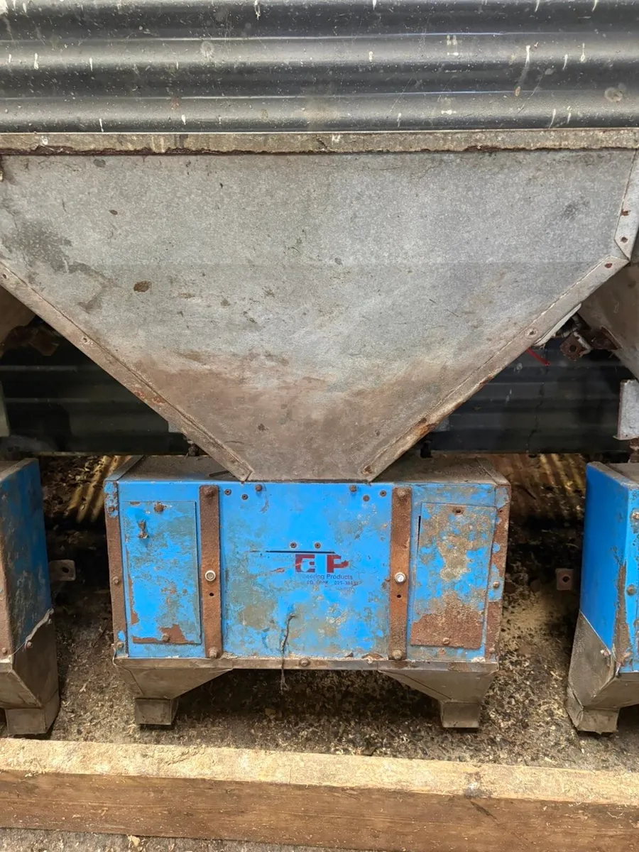 Cashman feeders - Image 3