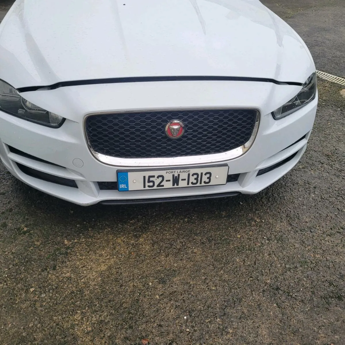 Jaguars XE - Image 1