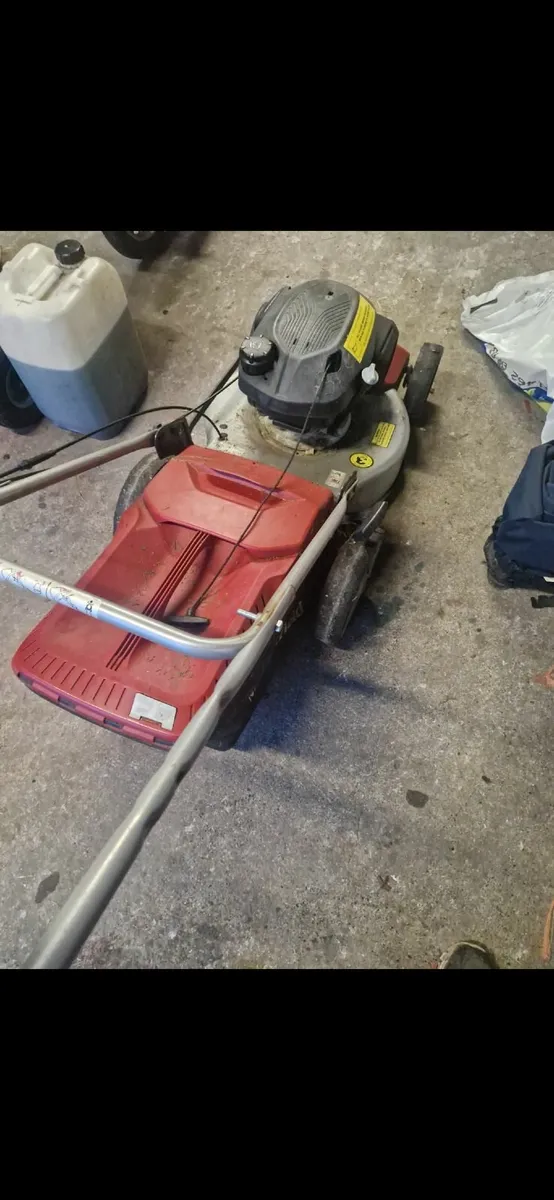 Shed clearance - Image 2