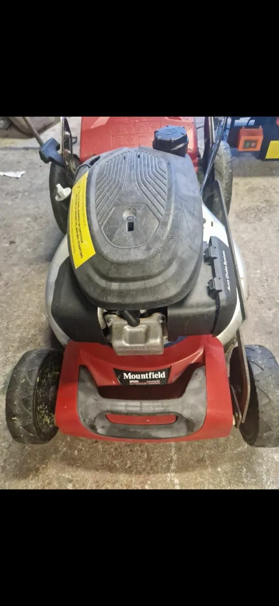 Shed clearance - Image 3