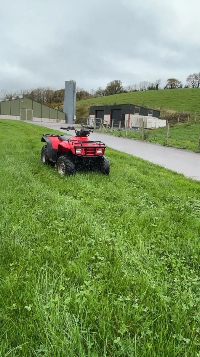 Honda fourtrax trx 250 - Image 1