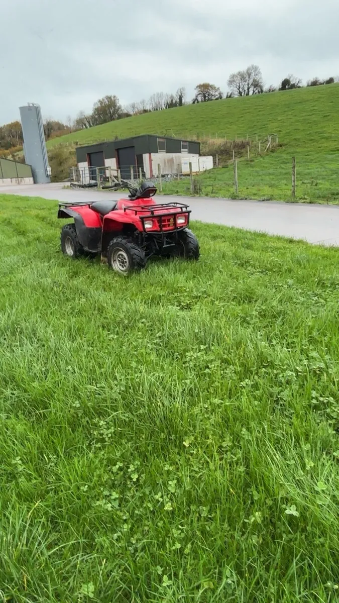 Honda fourtrax trx 250 - Image 2
