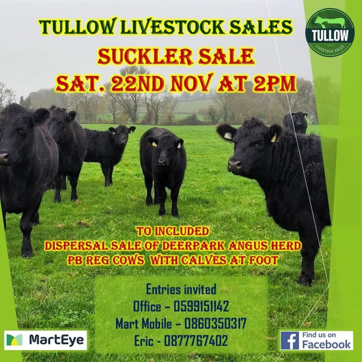 Suckler Sale Sat 22nd Nov - Tullow Mart - Image 1