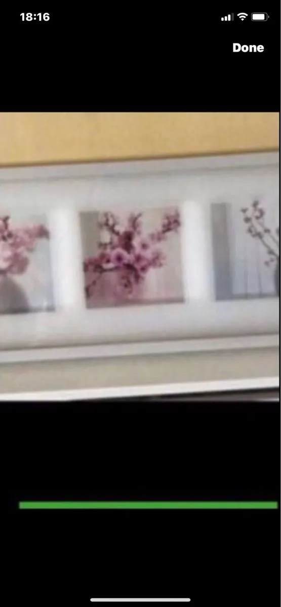 Framed Floral Prints - Image 1