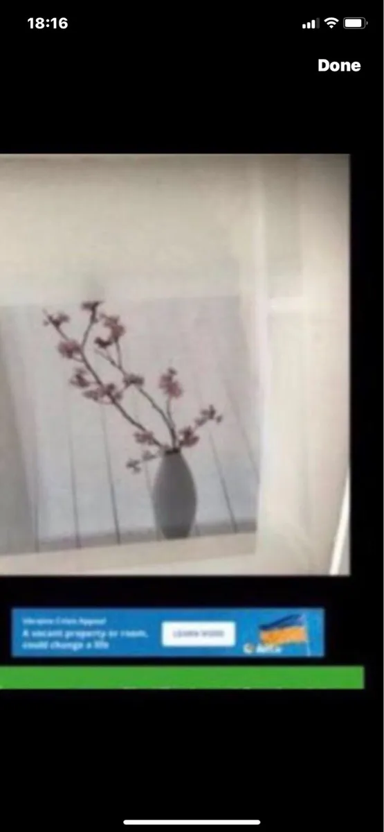 Framed Floral Prints - Image 3