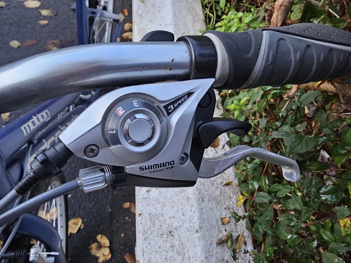 Woman Bicycle - Image 2