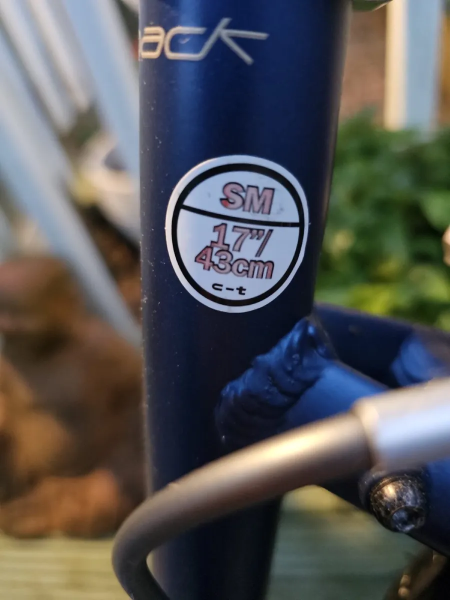 Woman Bicycle - Image 3