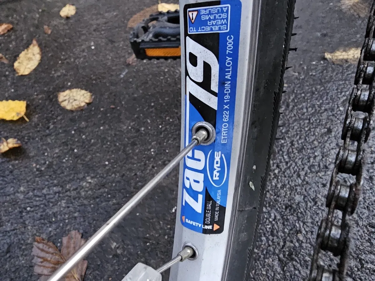 Woman Bicycle - Image 4