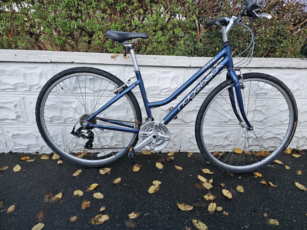 Woman Bicycle - Image 1