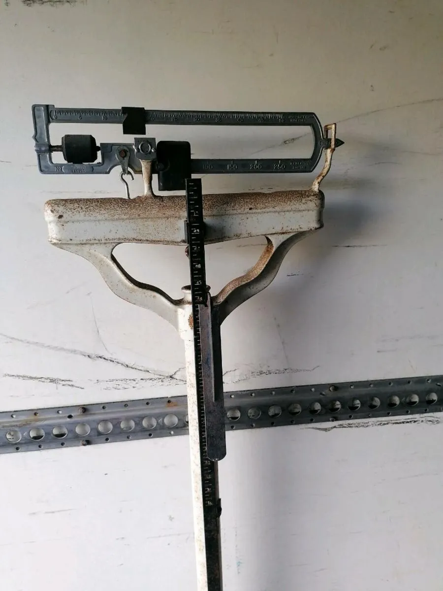 Bargains galore - Image 4