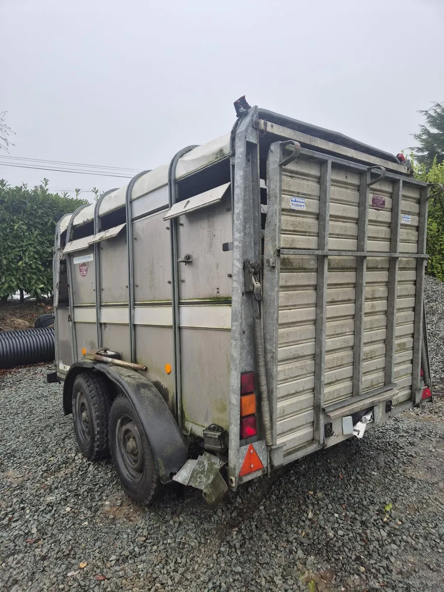 Ifor Williams Trailer - Breaking only - Image 2