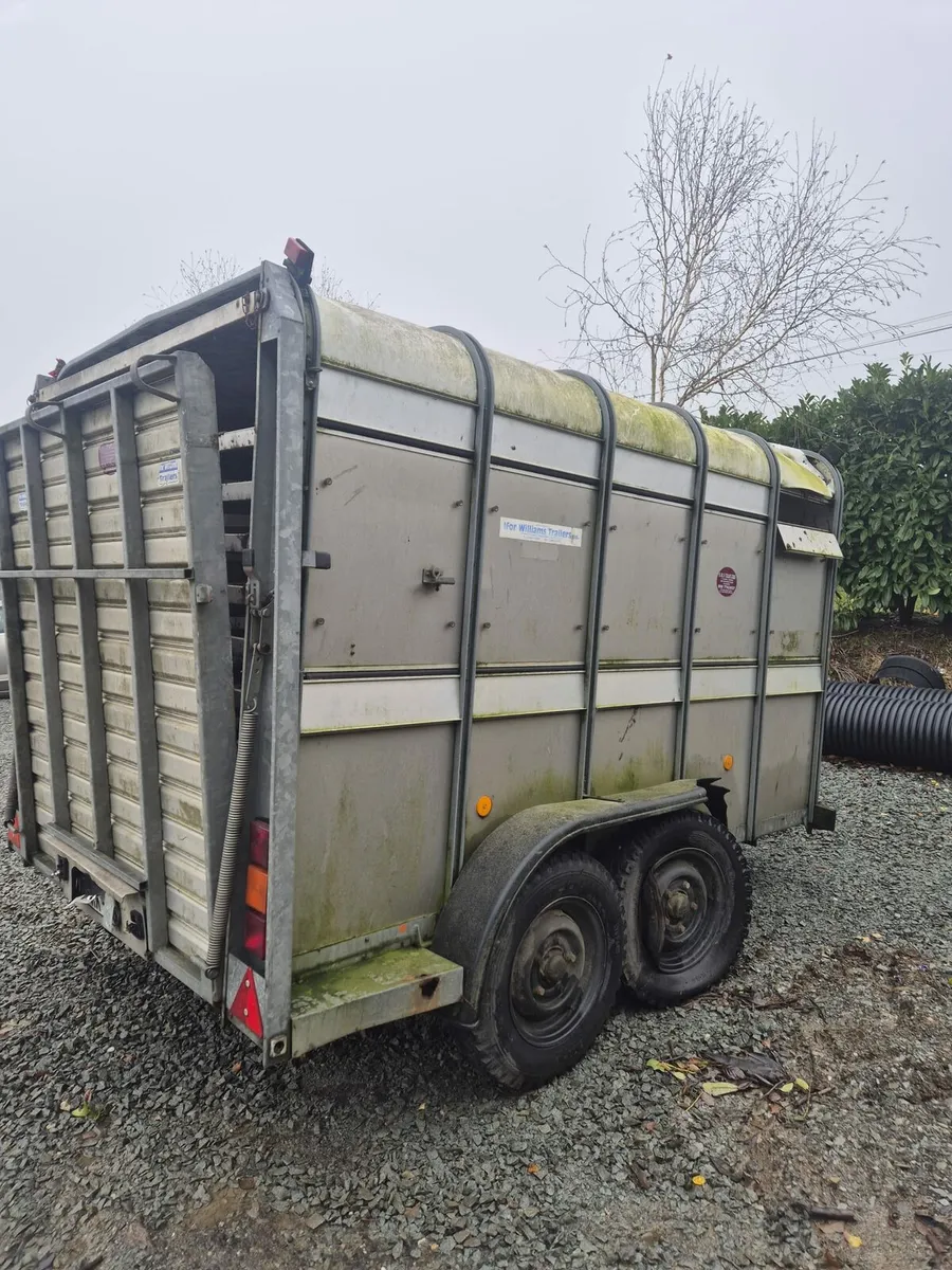 Ifor Williams Trailer - Breaking only - Image 4