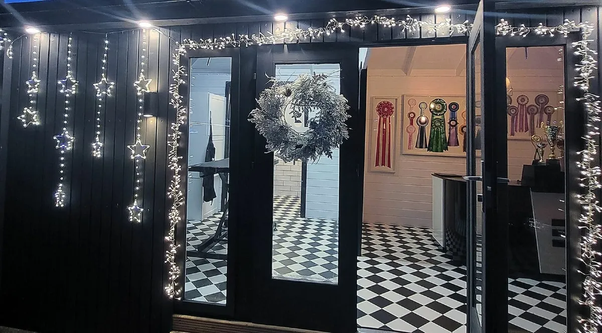 Pet grooming accessories - Image 1