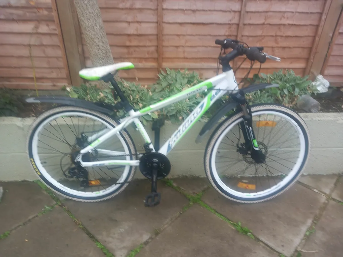 teenager mountain bike - Image 2