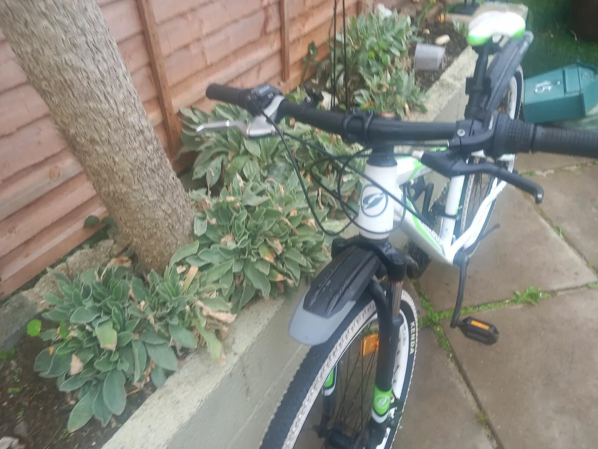 teenager mountain bike - Image 3