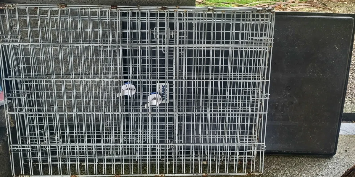 Pet grooming accessories - Image 3