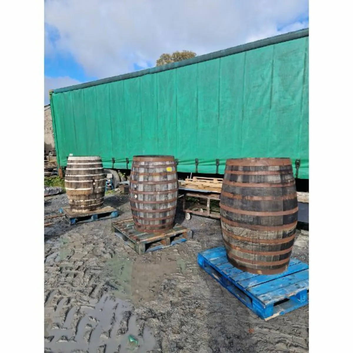 Large Whiskey / Sherry Barrels