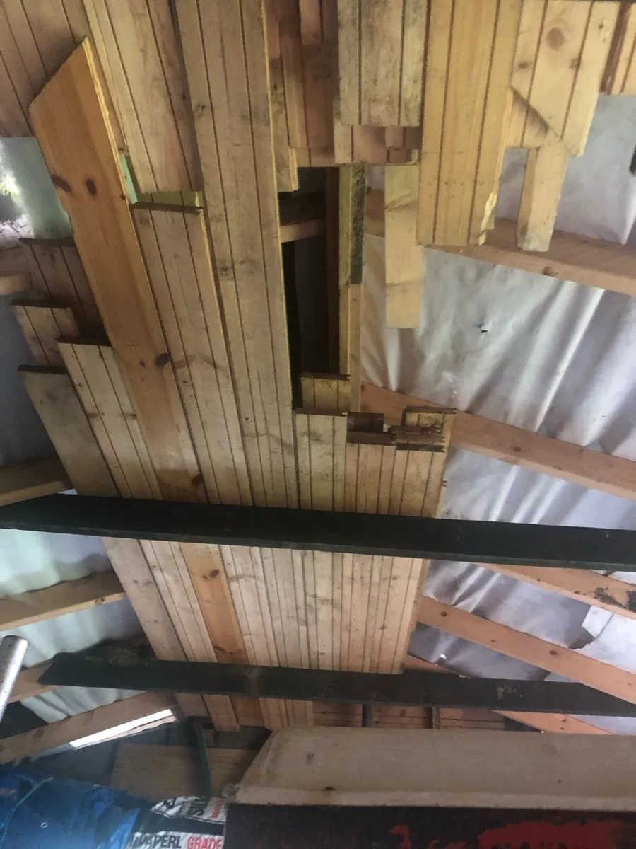 Pine tongue groove - Image 1