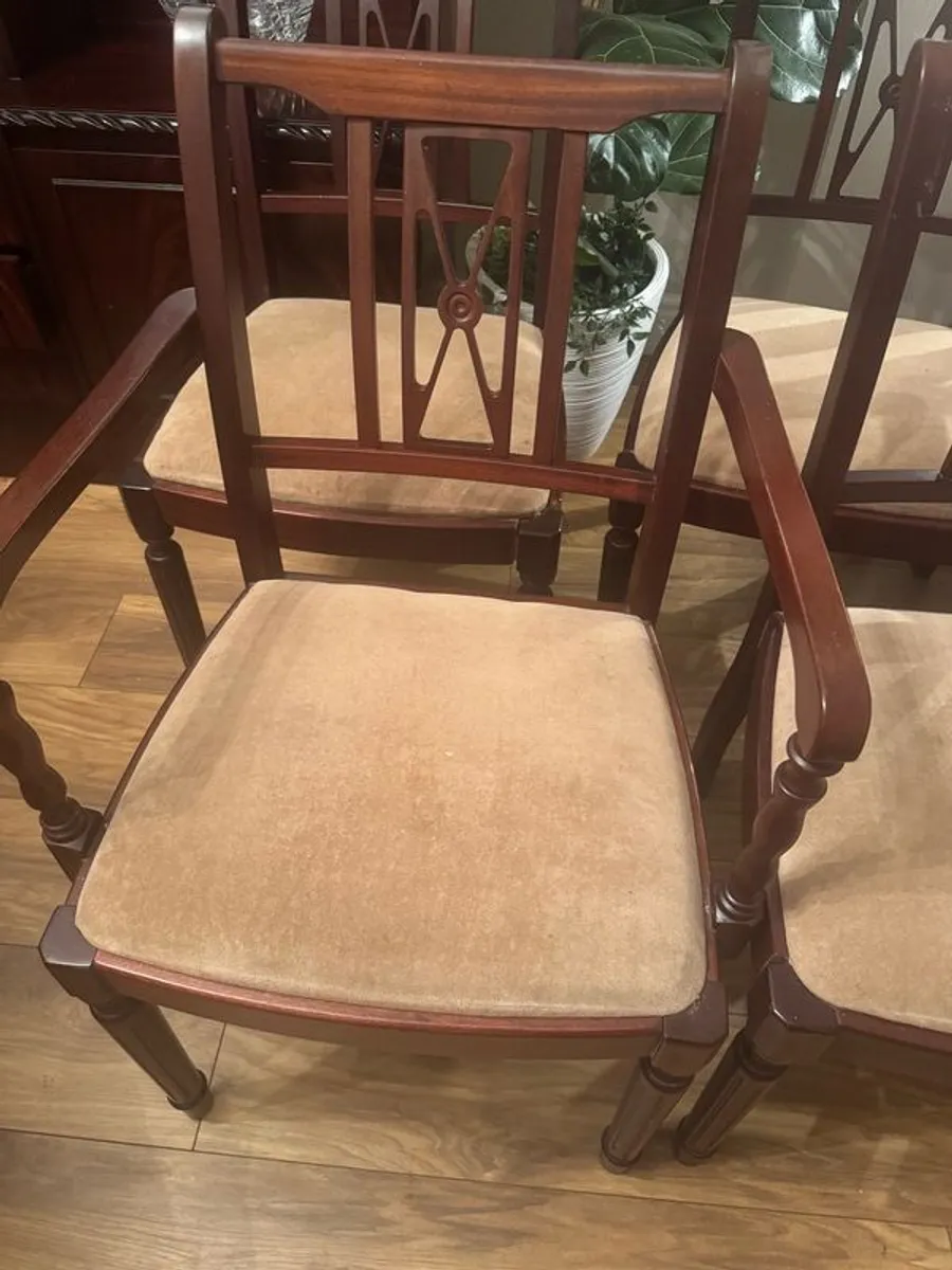 dining chairs - Image 2