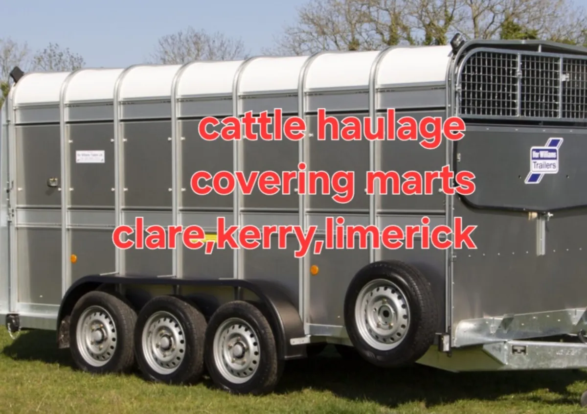 Cattle haulage - Image 1