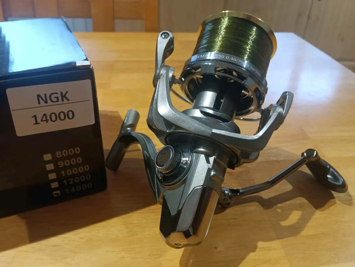 Reel fishing - Image 2