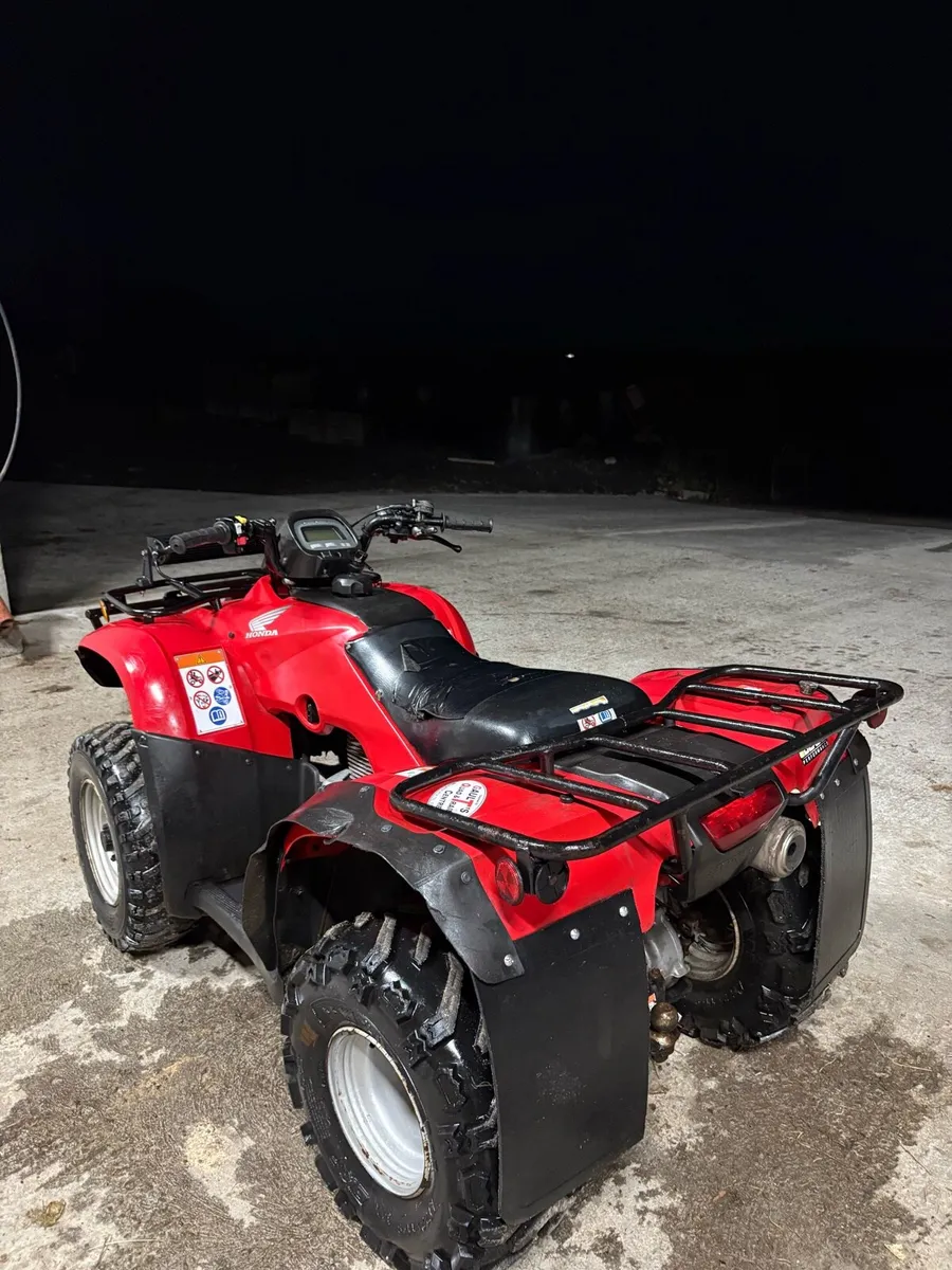 Honda TRX 250 - Image 3