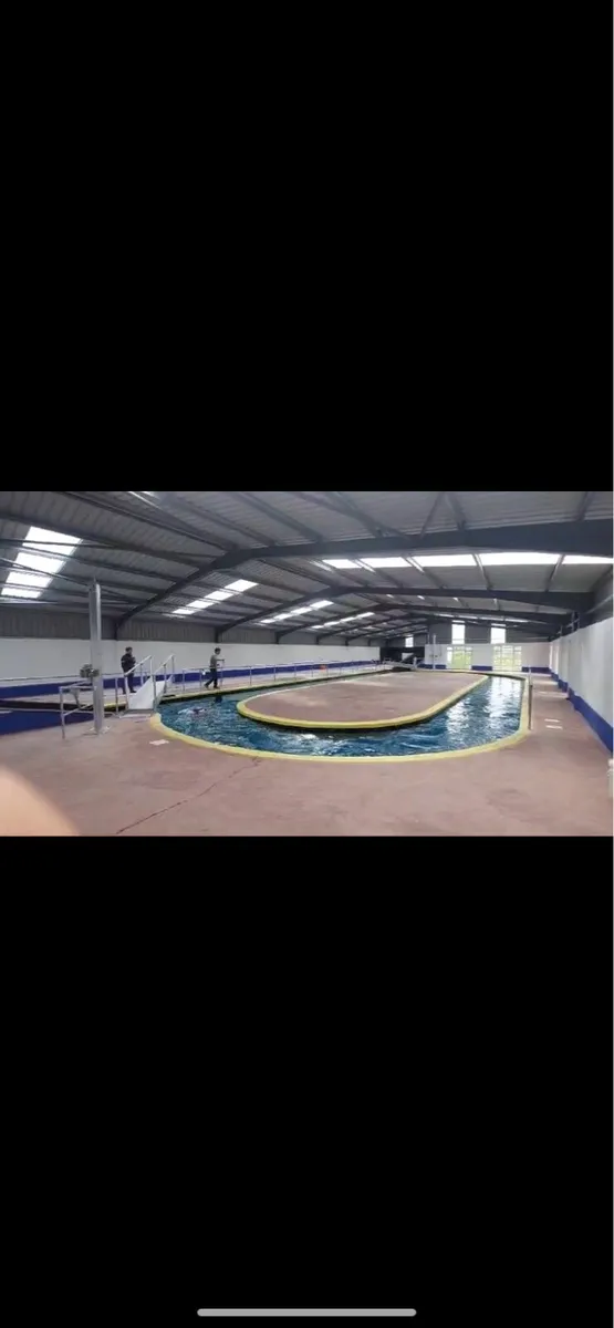 Equine pool - Image 1