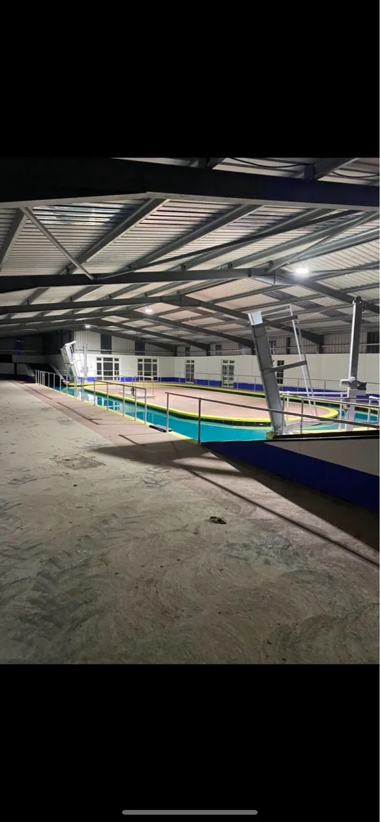 Equine pool - Image 3